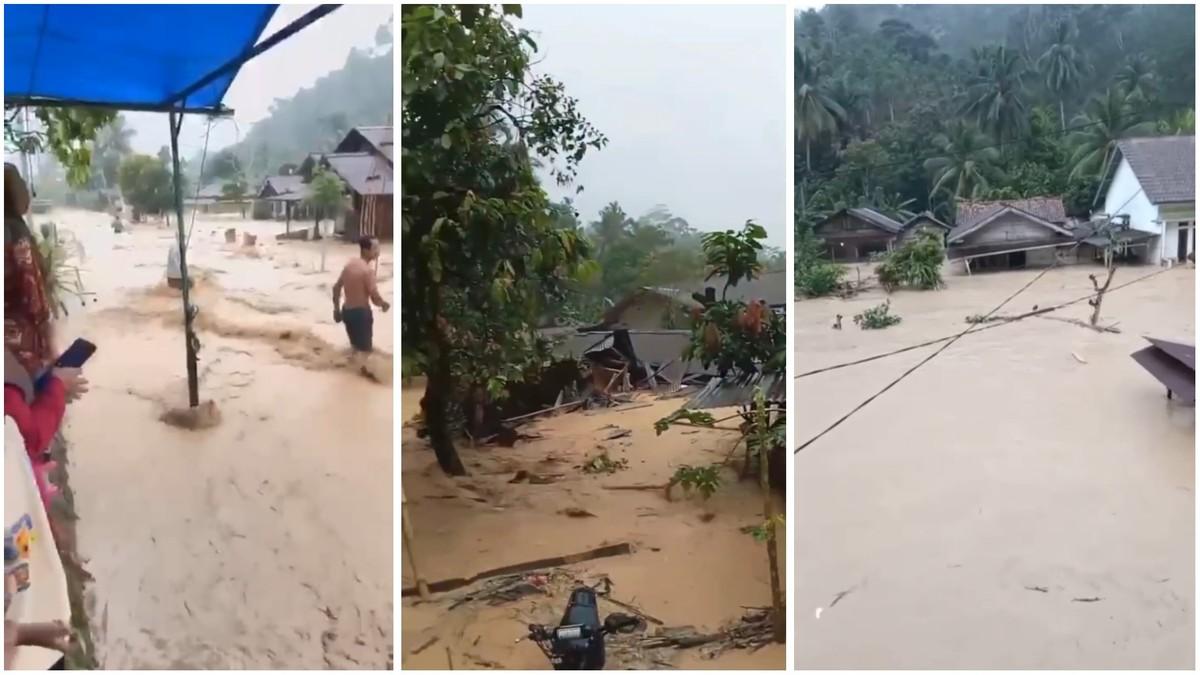 Ratusan Rumah Terendam Akibat Banjir di Kabupaten Lampung Barat!