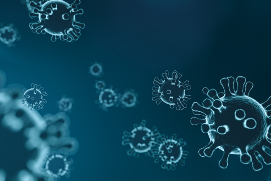 Alhamdulillah! Jumlah Warga Terinfeksi Virus Mematikan West Nile di Israel Menjadi 543 Orang