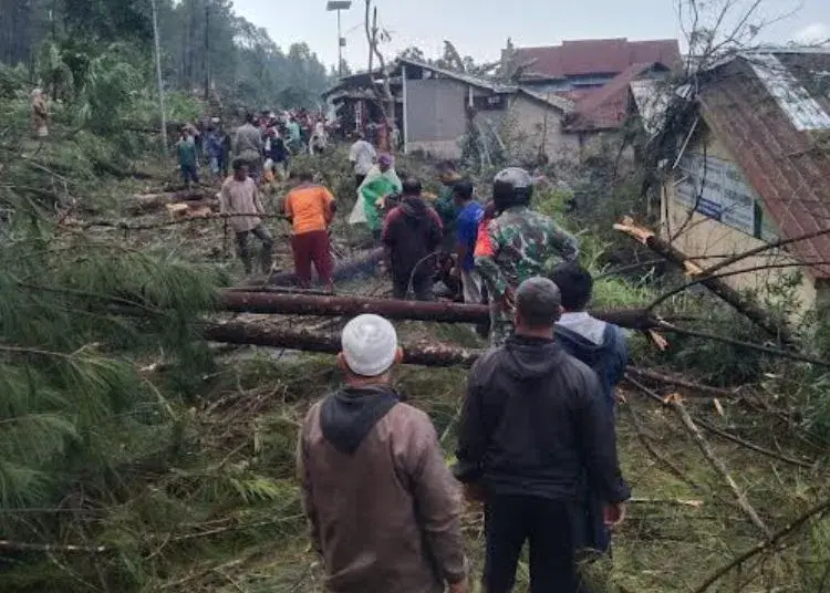 Kondisi-Usai-Petungkriyono-Pekalongan-Diterjang-Hujan-Angin