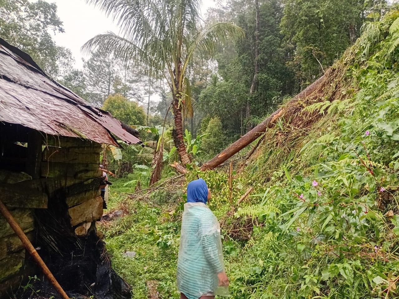 WhatsApp Image 2025-09-24 at 17.26.42_941a58fa