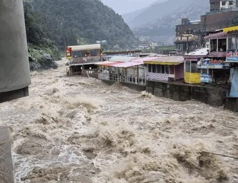 ZenerCaro-1956386486166893026-01