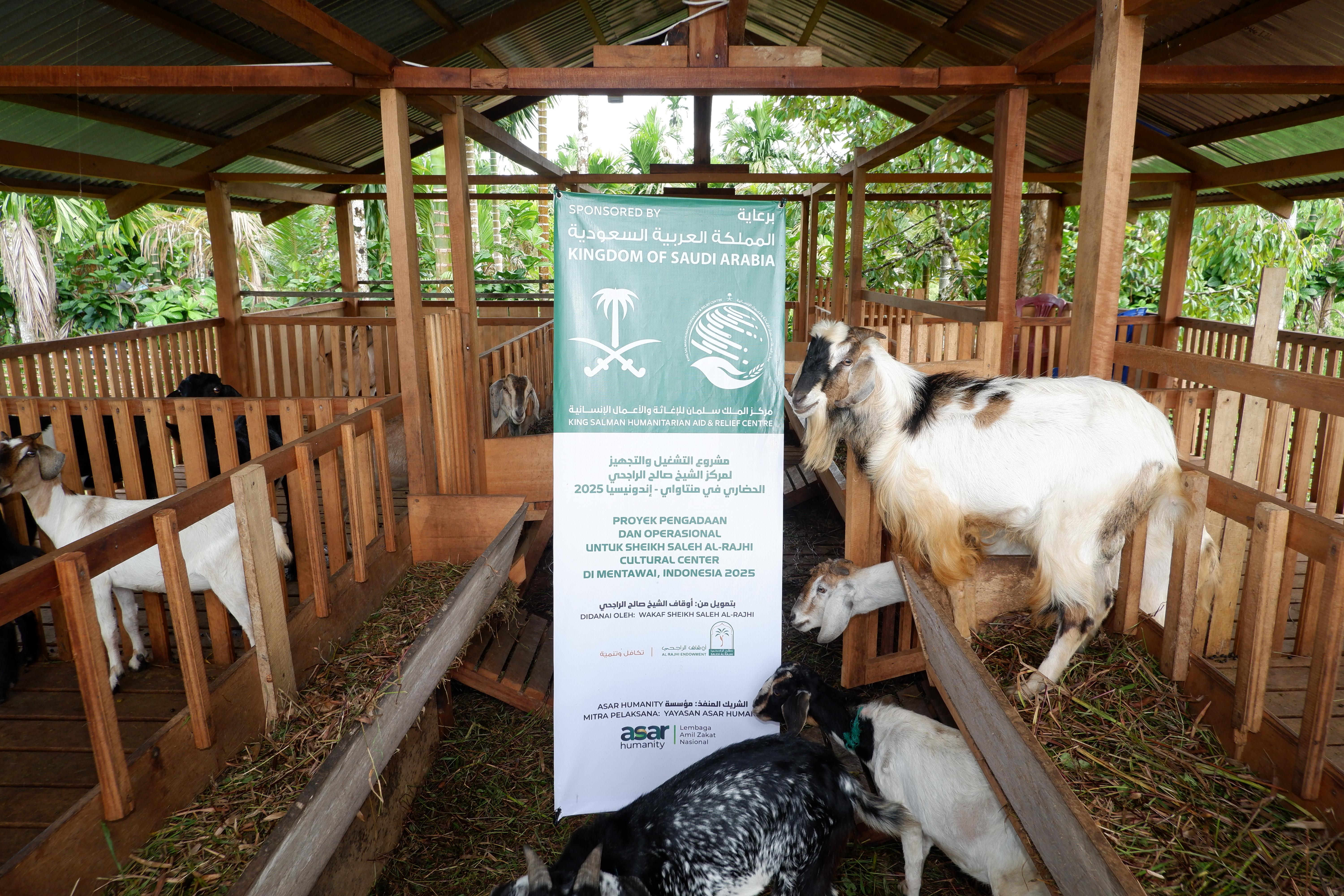 KSrelief Dorong Pemberdayaan Ekonomi Pesantren melalui Program Ternak Kambing