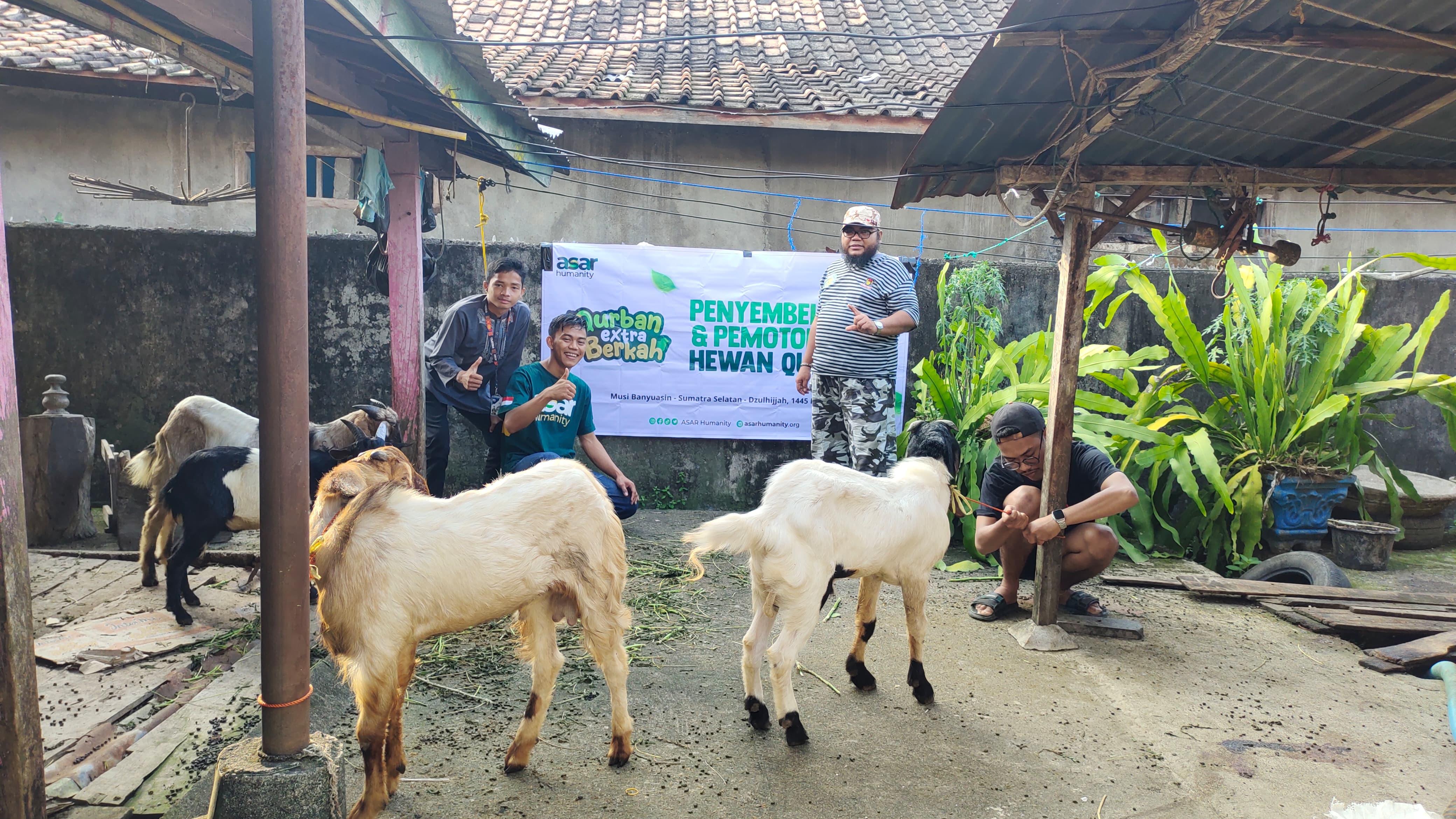 Harga Kambing Kurban 2026 di ASAR Humanity, Mulai Rp2 Jutaan