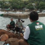 Dari Pelosok NTT, ASAR Humanity Resmi Mulai Program Qurban 2026