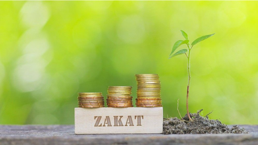 Perbedaan Zakat Fitrah Dan Zakat Maal Lengkap: Pengertian, Syarat, Dan Waktu Bayarnya