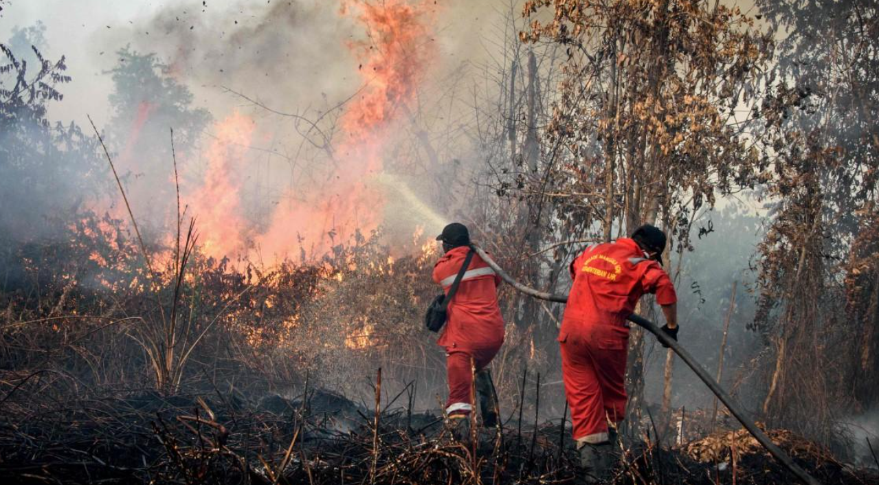 Hari Pahlawan: Relawan Karhutla, Pahlawan Masa Kini