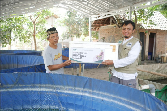 Bangun Kemandirian Pangan dan Ekonomi, ASAR Humanity Yogyakarta Hadirkan Bantuan Pupuk & Indukan Ikan